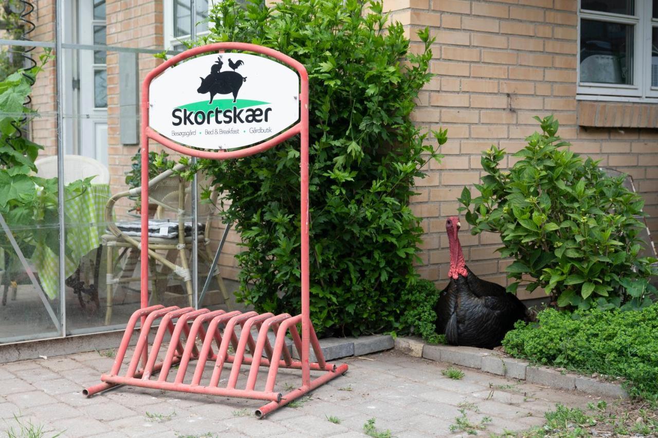 Bed and Breakfast Skortskaer Bondegardsferie Havnsø Exteriér fotografie