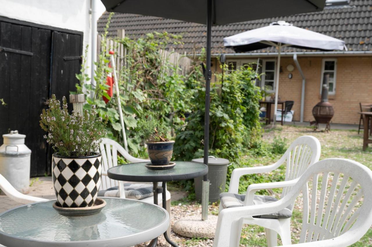 Bed and Breakfast Skortskaer Bondegardsferie Havnsø Exteriér fotografie
